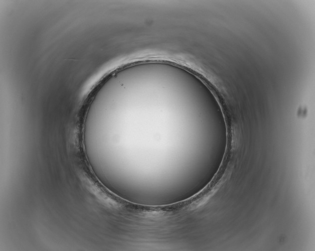 X0000089341502200706221106