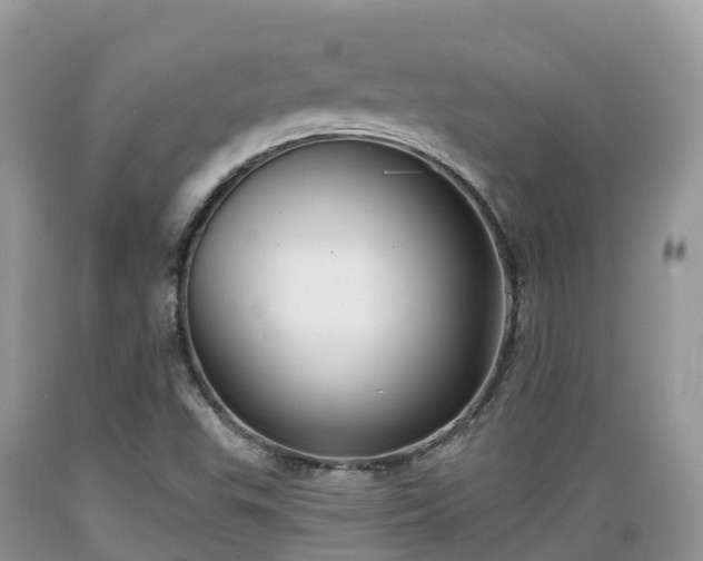 X0000089341503200706221106
