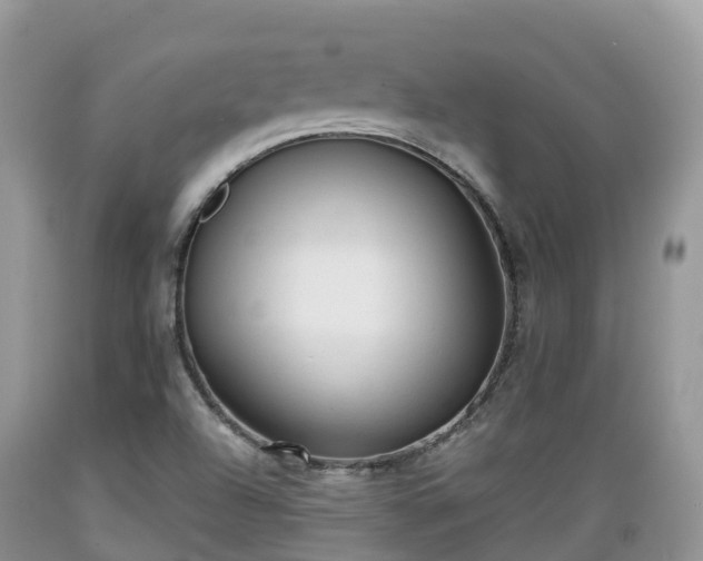 X0000089341504200706221106