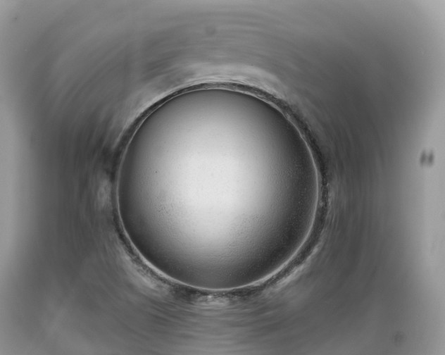 X0000089341505200706221106