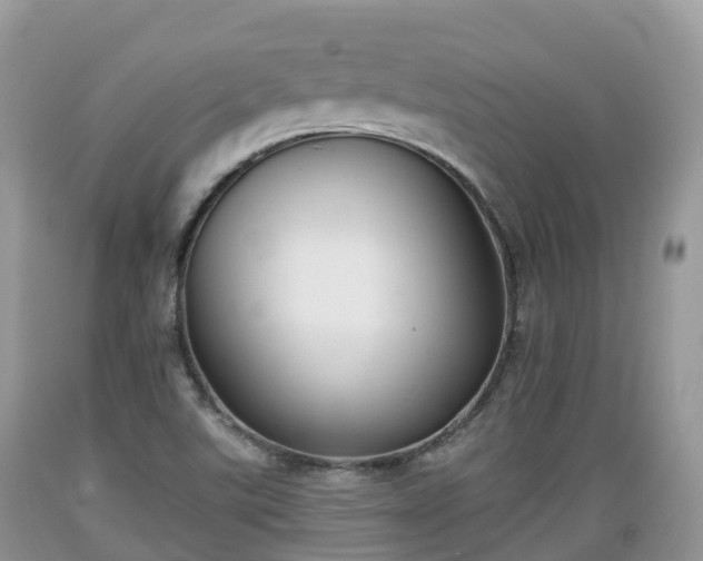 X0000089341507200706221106