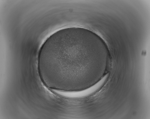 X0000089341508200706221106