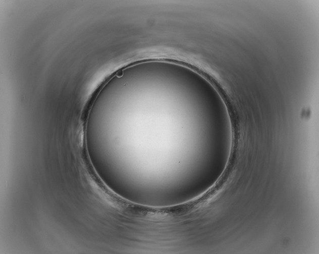 X0000089341509200706221106