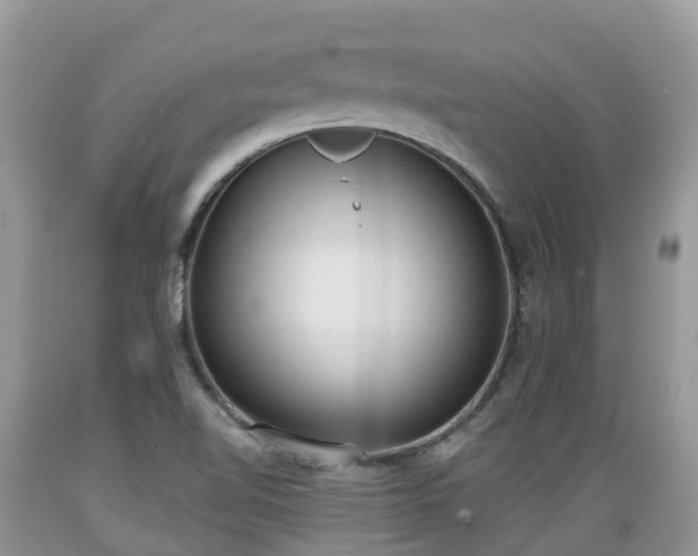 X0000089341510200706221106