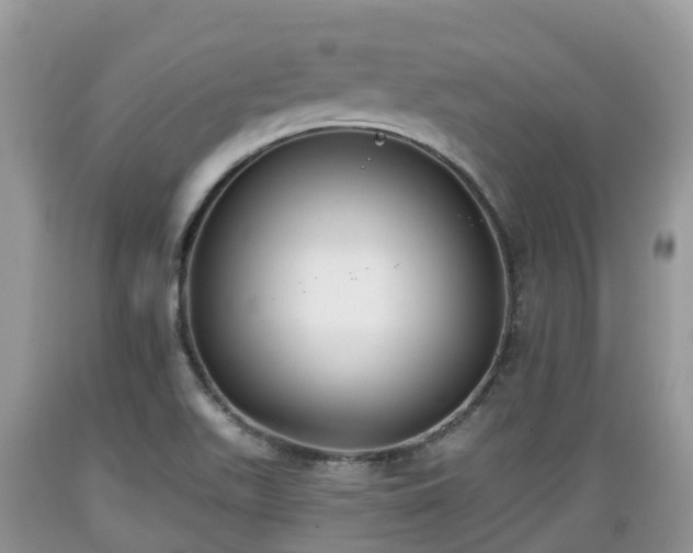 X0000089341511200706221106