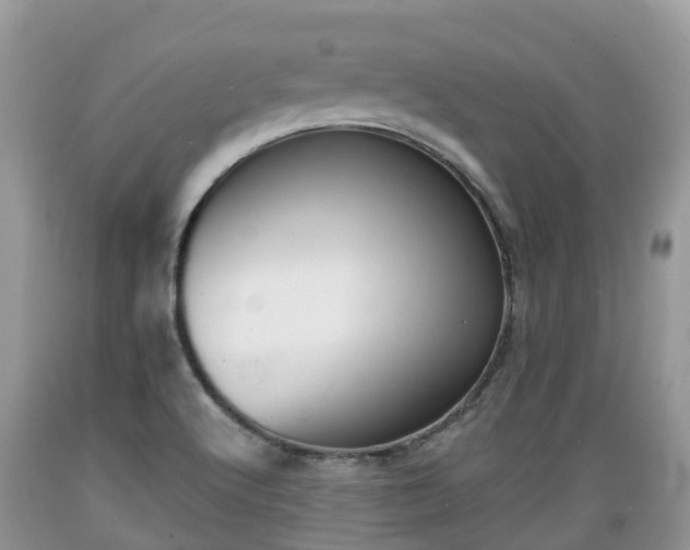 X0000089341512200706221106