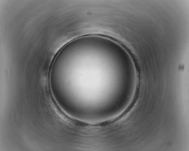 X0000089341513200706221106