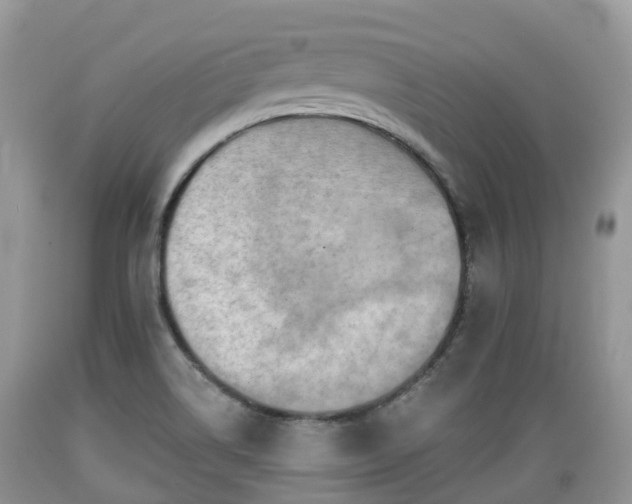 X0000089341514200706221106