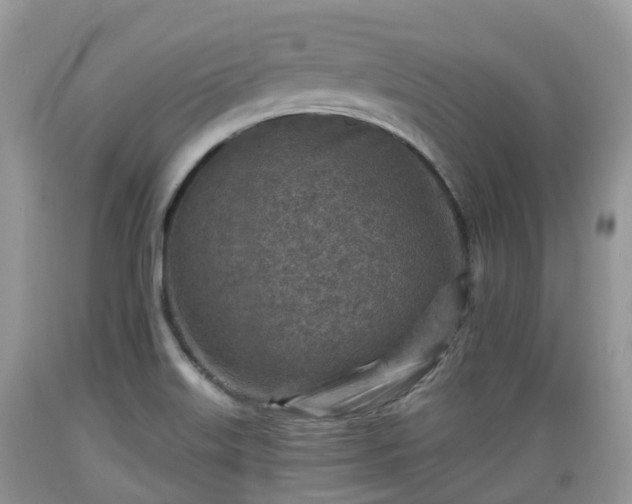 X0000089341515200706221106