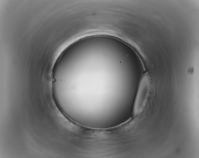 X0000089341516200706221106