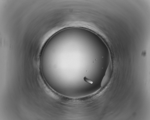 X0000089341517200706221106