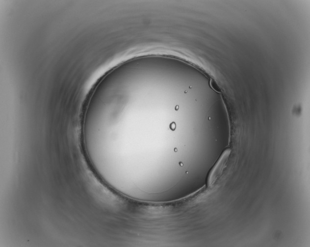 X0000089341518200706221106