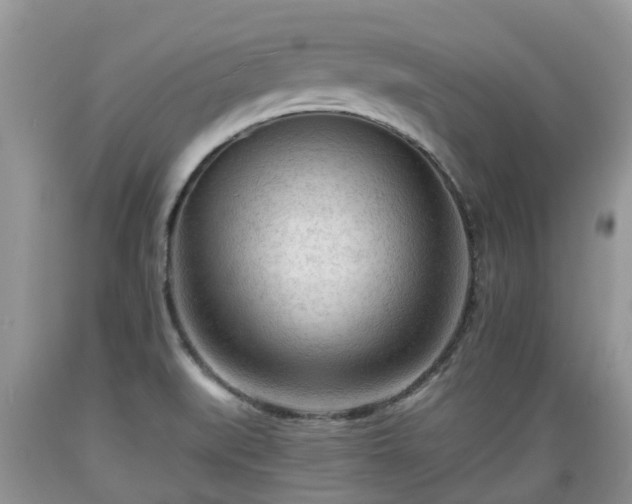 X0000089341519200706221106
