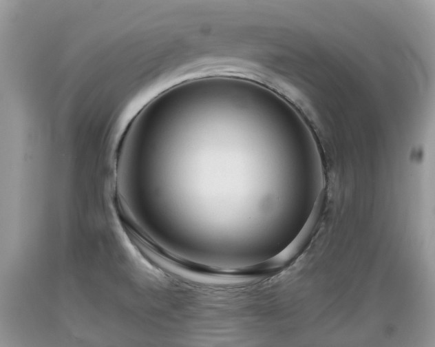 X0000089341520200706221107