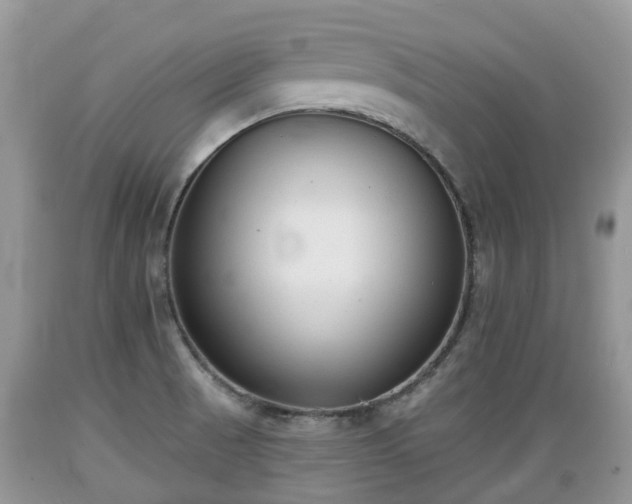 X0000089341521200706221107
