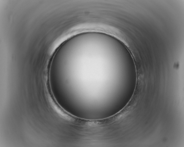 X0000089341523200706221107