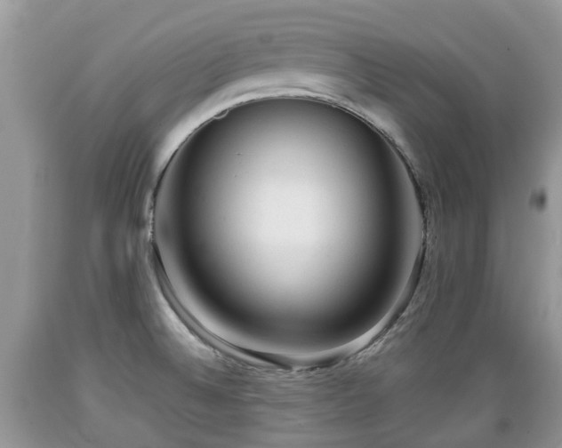 X0000089341524200706221107