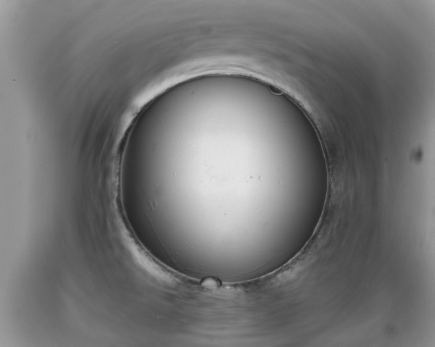 X0000089341526200706221107