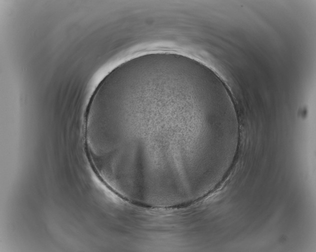 X0000089341527200706221107
