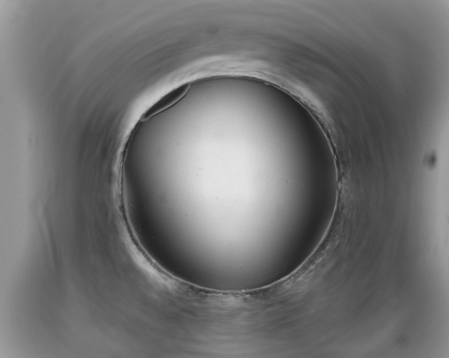X0000089341528200706221107
