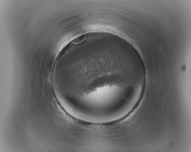 X0000089341529200706221107