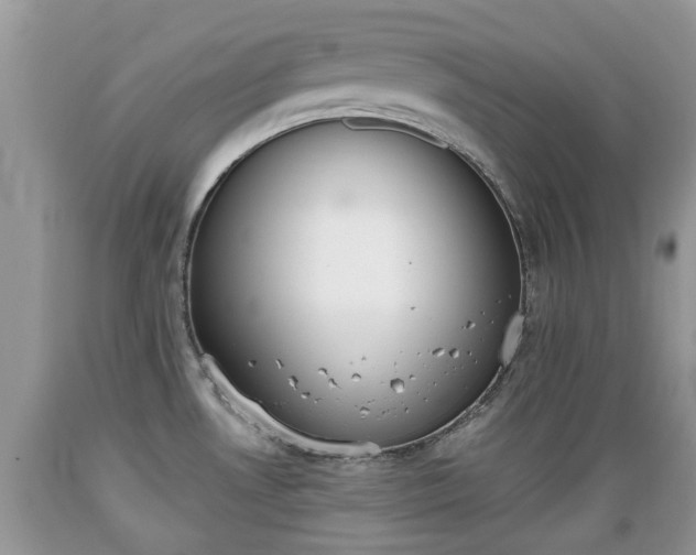 X0000089341530200706221107