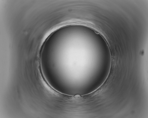 X0000089341531200706221107