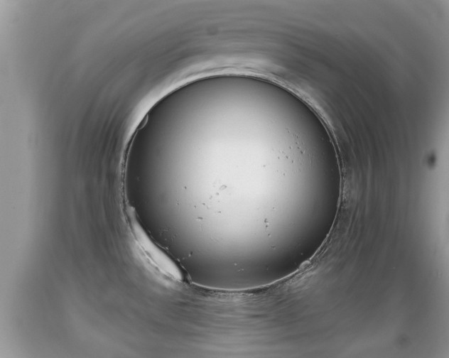 X0000089341532200706221107