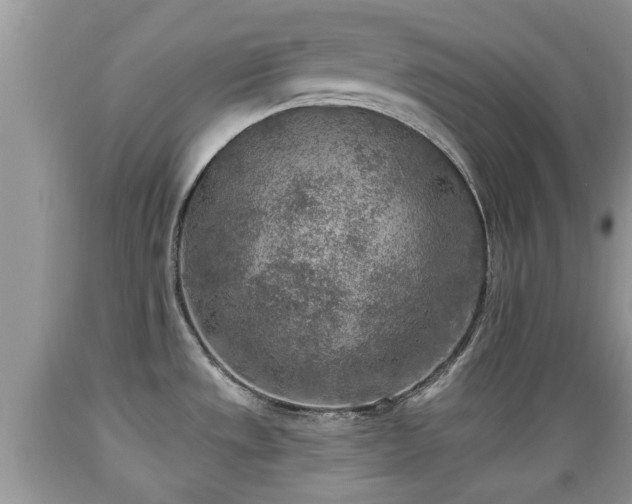 X0000089341533200706221107