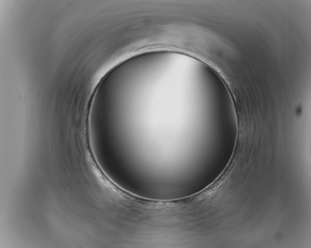 X0000089341534200706221107