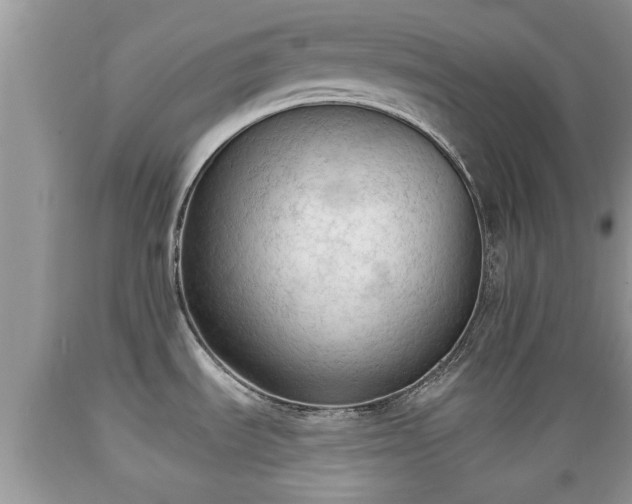X0000089341535200706221107