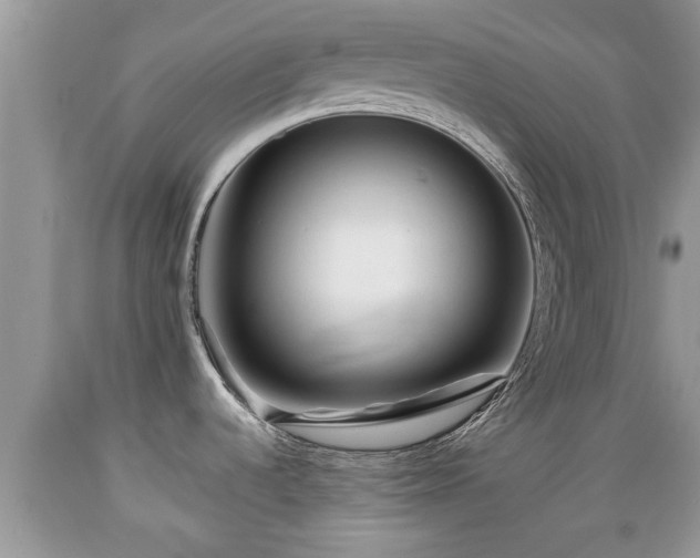 X0000089341536200706221107