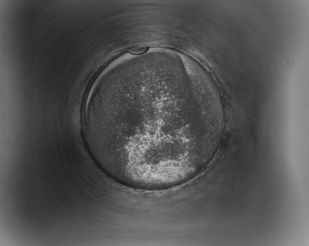 X0000089340002200706291010