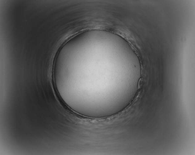 X0000089340003200706291010