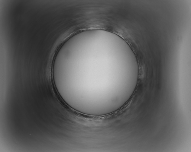 X0000089340004200706291010