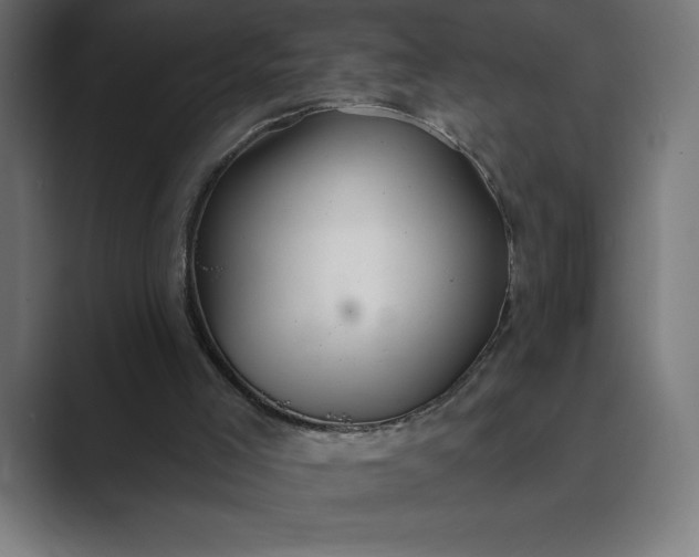 X0000089340005200706291010