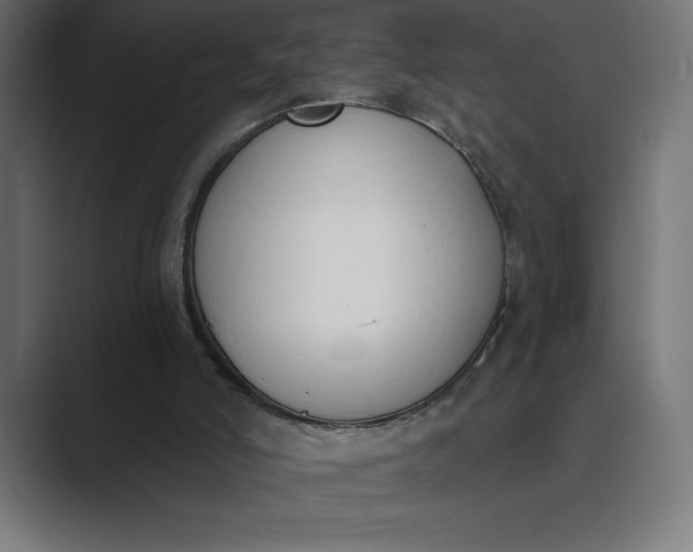 X0000089340006200706291010