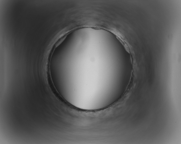 X0000089340007200706291010