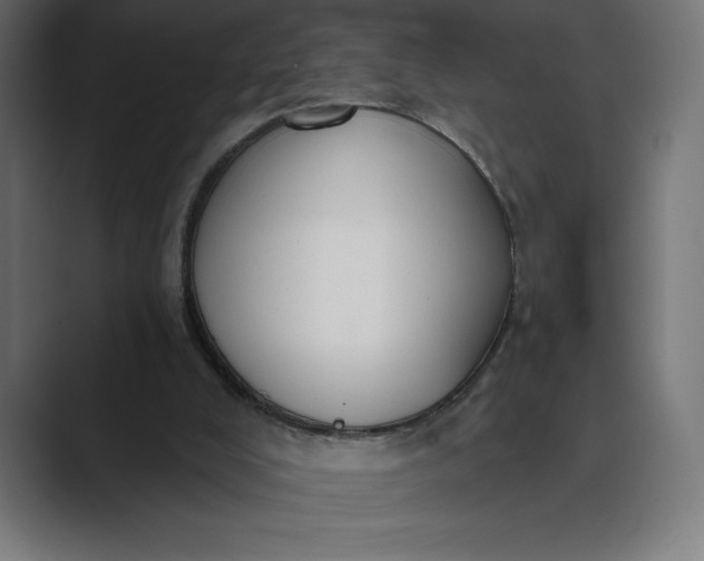 X0000089340008200706291010