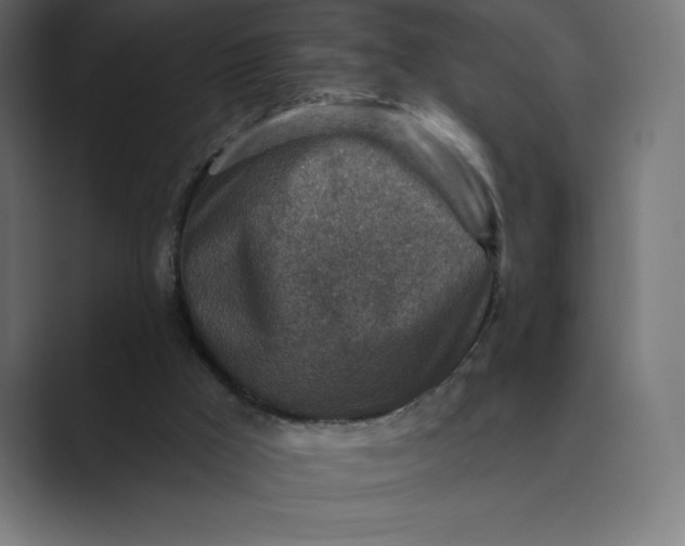 X0000089340009200706291010