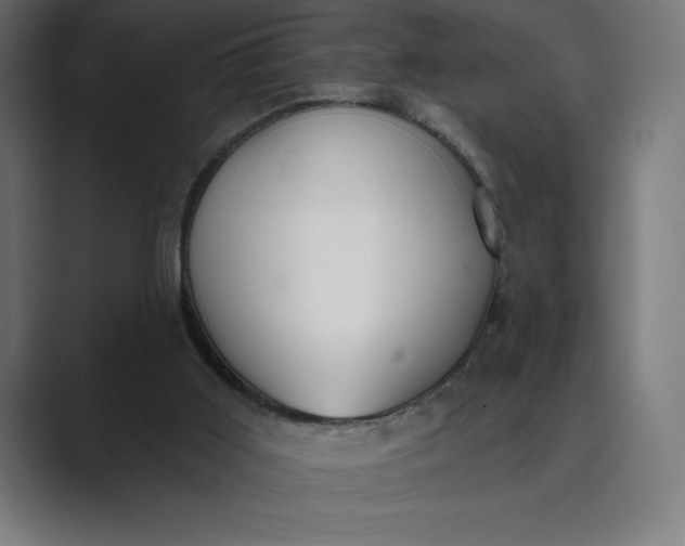 X0000089340011200706291010