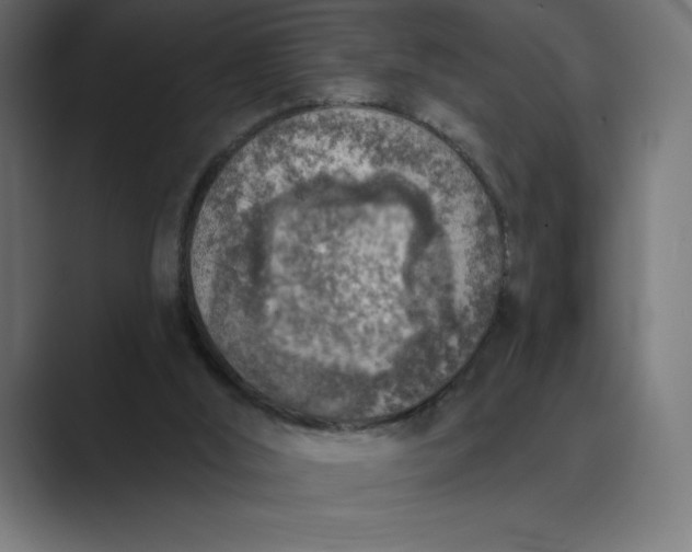 X0000089340012200706291010