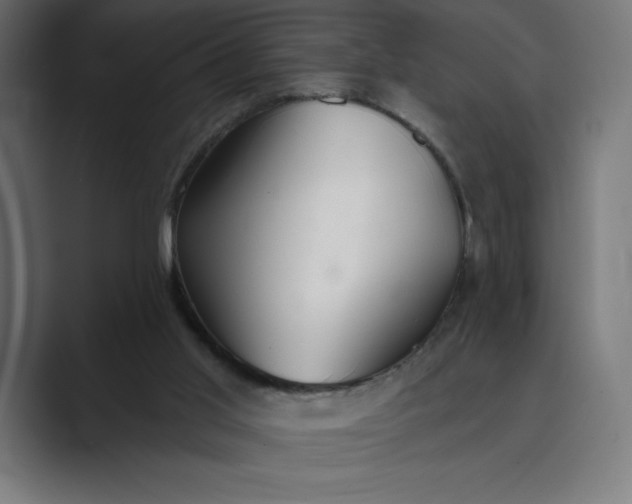 X0000089340013200706291010