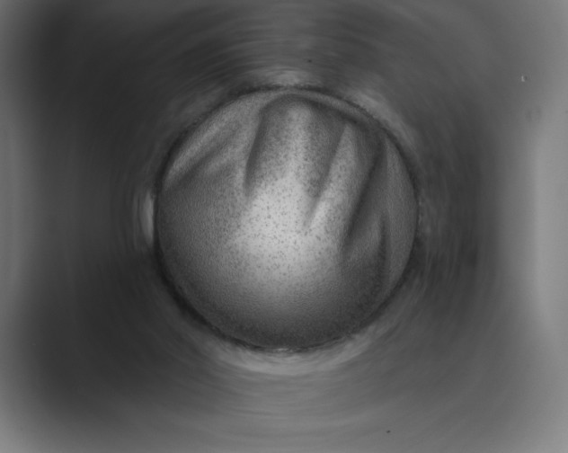 X0000089340014200706291010