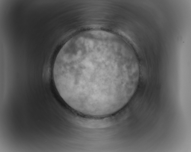 X0000089340016200706291010