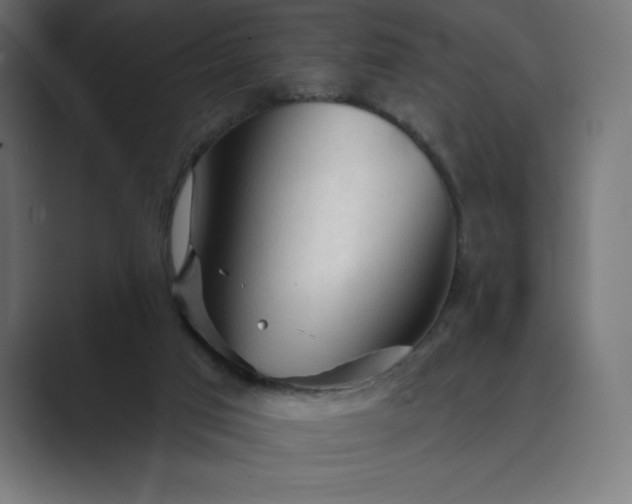 X0000089340017200706291010