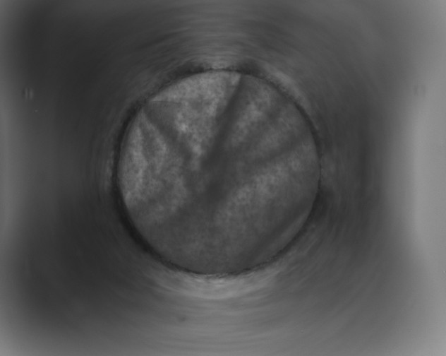 X0000089340018200706291010