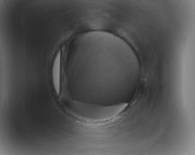 X0000089340019200706291010