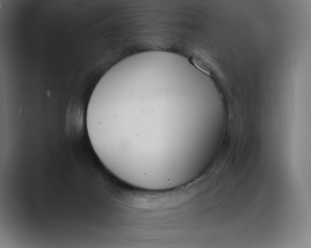 X0000089340021200706291010