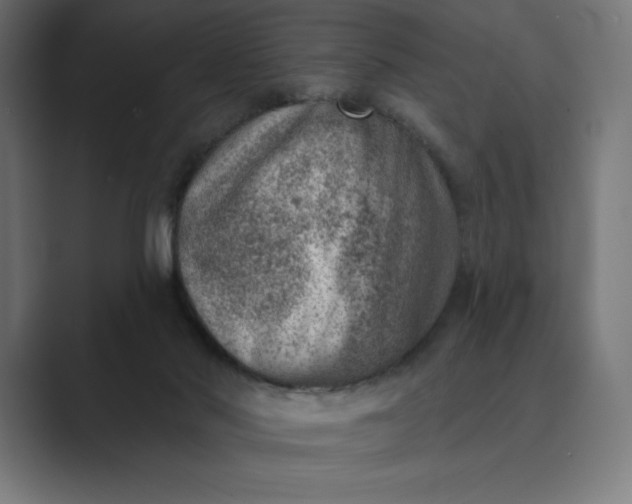 X0000089340022200706291010